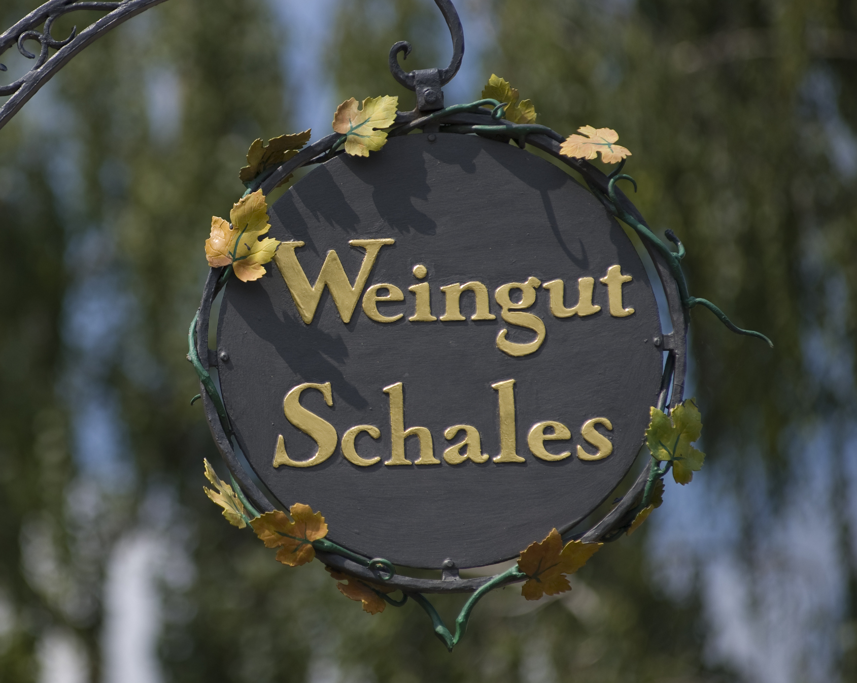 Weingut Schales | Discover Germany, Switzerland and Austria